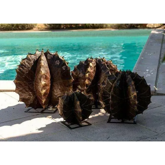 Cactus sphérique – set de 4 - Végétal décoratif en métal recyclé