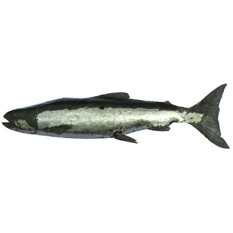 Saumon - Poisson décoratif en métal recyclé