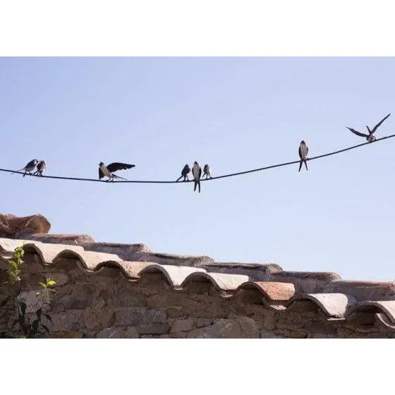 Ligne 11 hirondelles - Oiseaux décoratifs en métal recyclé