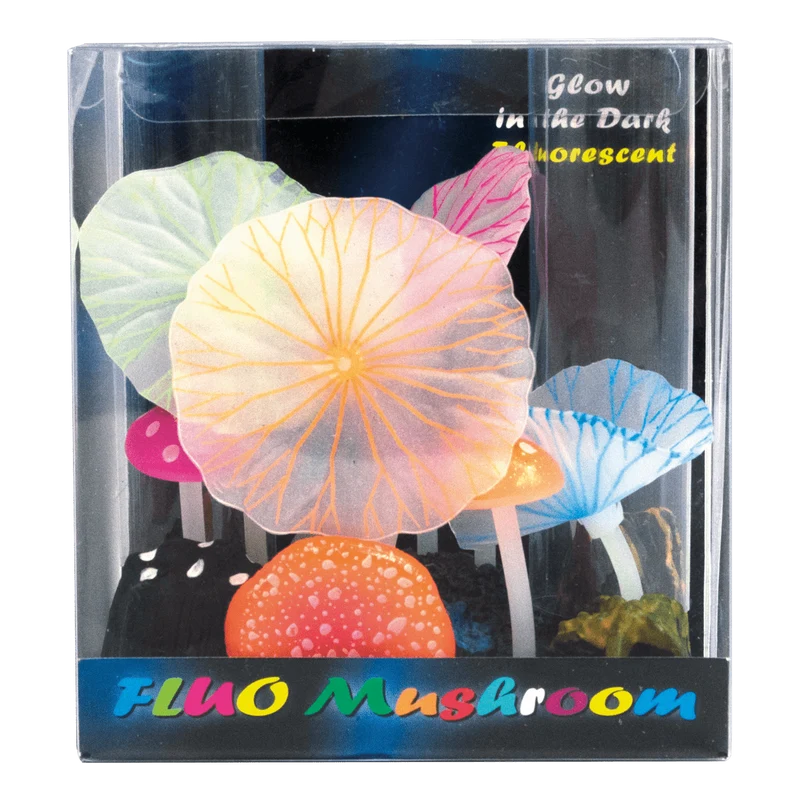 SF Fluo Champignons
