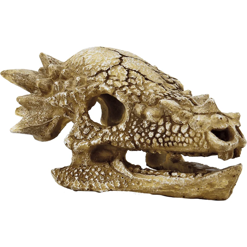 SF Deco Crâne de T-Rex M