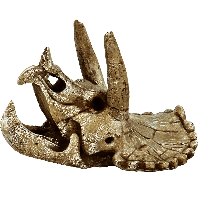 SF Deco Crâne de tricératops M