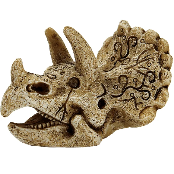 SF Deco Crâne de tricératops S