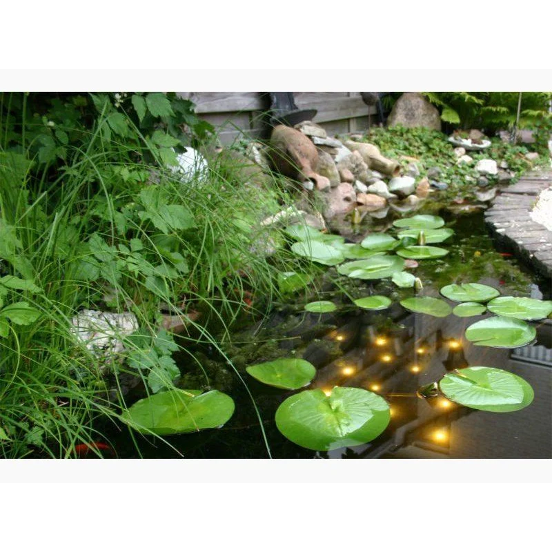 Welkin Pond Light – Éclairage imitant la voûte étoilée – Velda