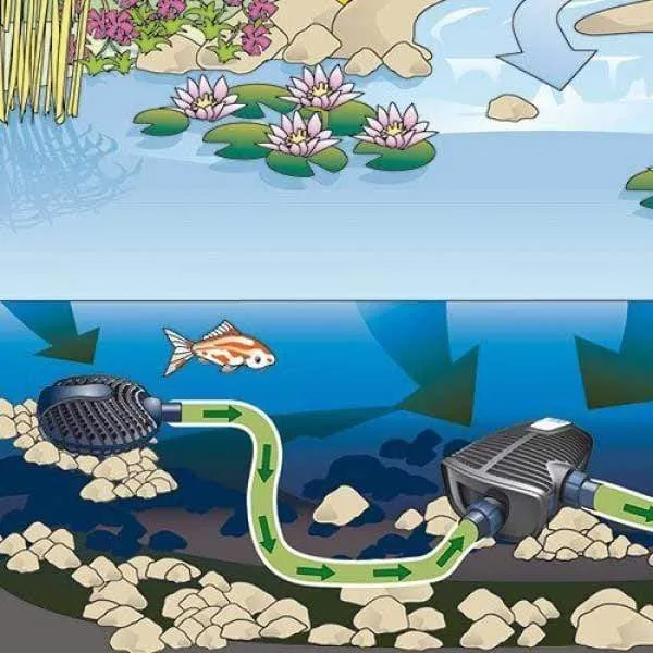 POMPE SATELLITE AQUAMAX ECO CREPINE