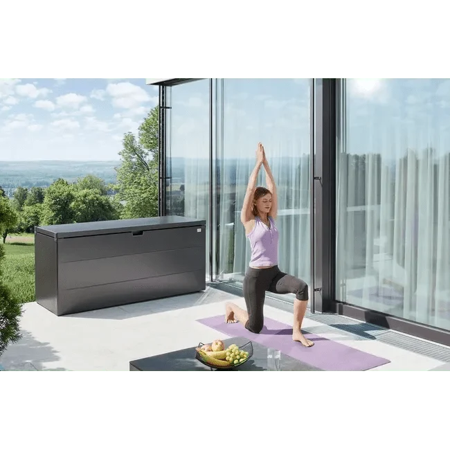 Biohort – StyleBox baúl metálico de diseño para exterior Plata metálica