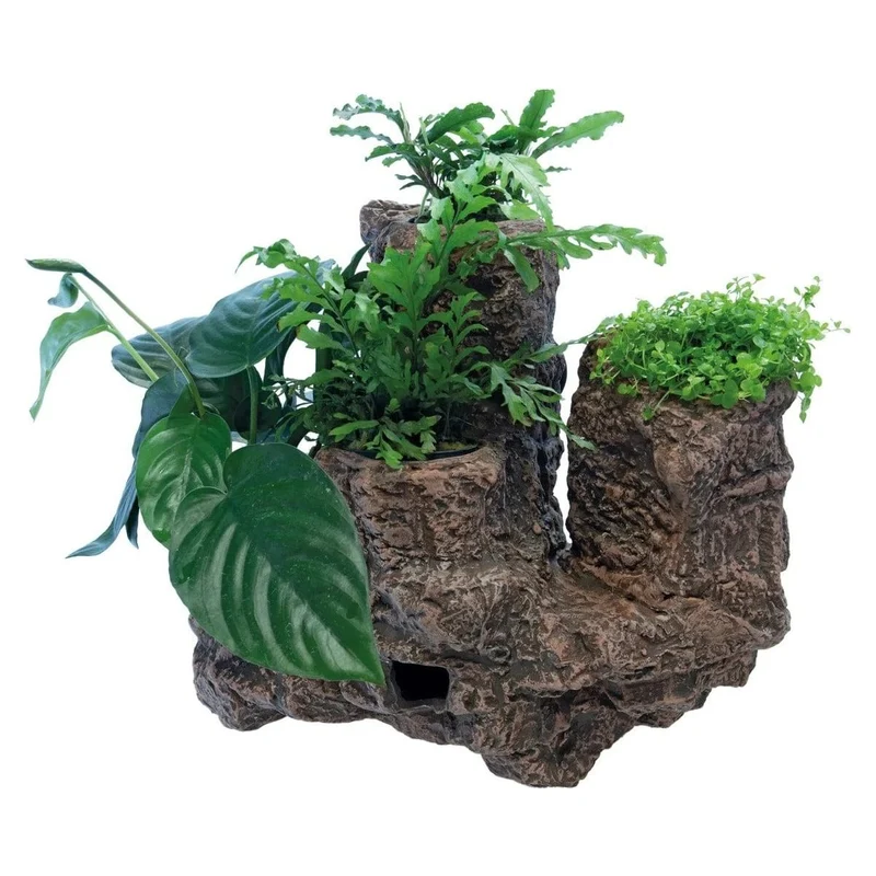 SF SCAPERS FLOATING PLANTY L