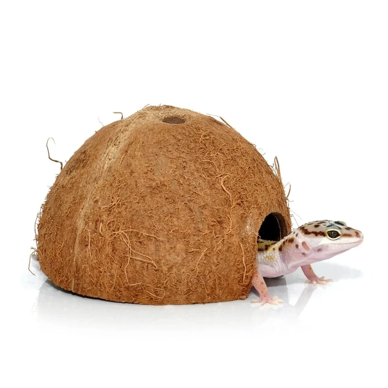 HABISTAT COCONUT CAVE