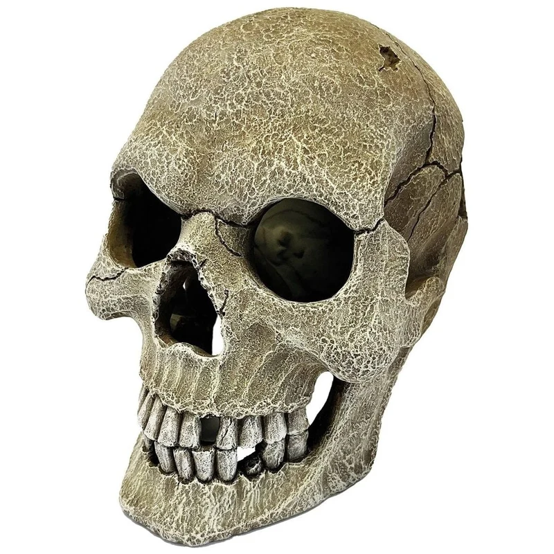 REPTO DECO HUMAN SKULL XL