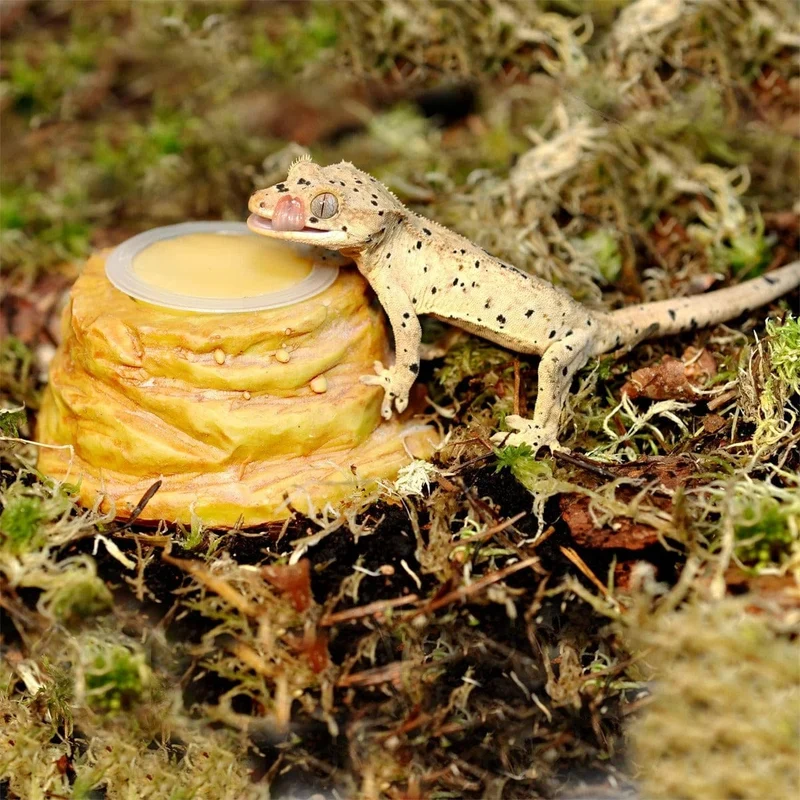 HABISTAT SANDSTONE JELLY POT HOLDER