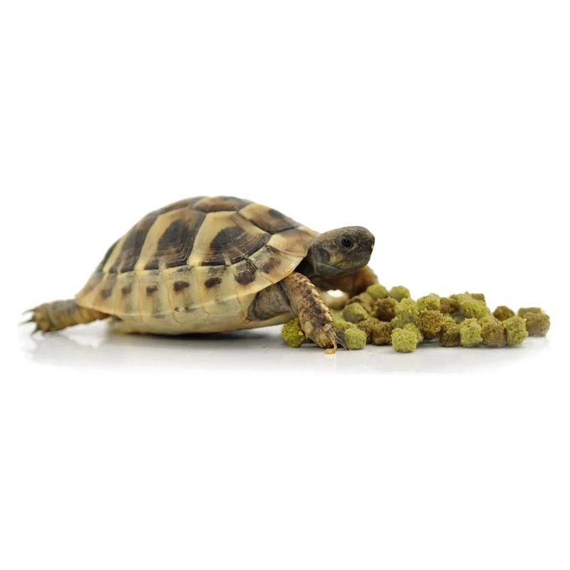 HABISTAT TORTOISE FOOD FRUIT & FLOWER 200 GRAM