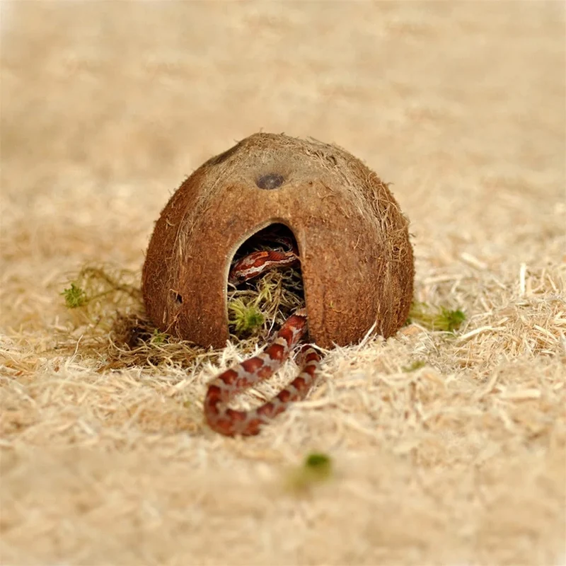 HABISTAT HATCHLING SNAKE STARTER KIT OAK 61X38X30CM