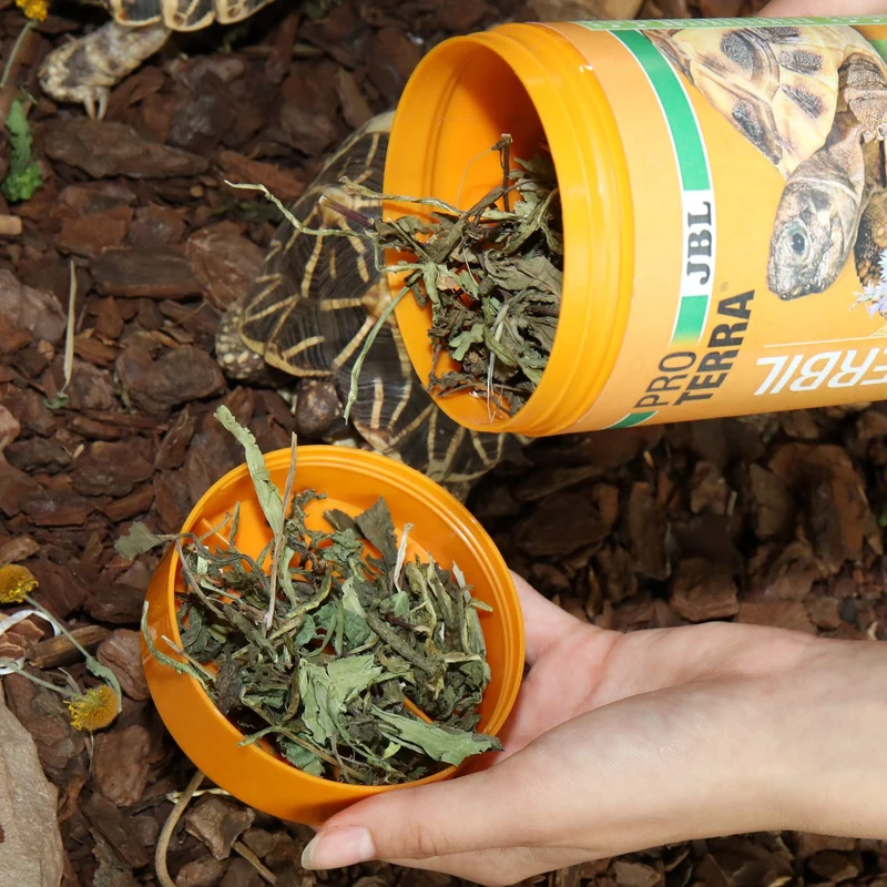 ProTerra JBL Herbil - Aliment de base aux herbes pour toutes les tortues terrestres