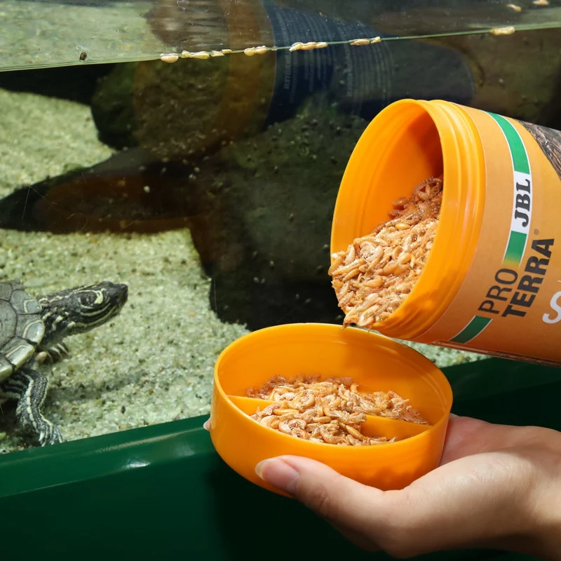 ProTerra JBL Gammarus - Friandises à base de gammares pour toutes les tortues d’eau