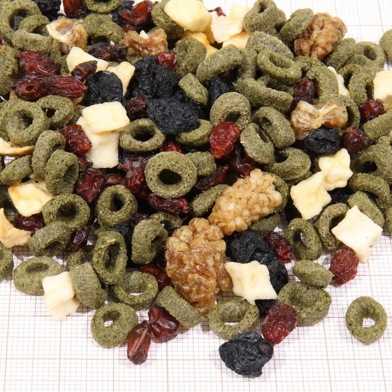 ProTerra JBL Fructil - Aliment de base aux fruits pour une alimentation variée de toutes les tortues terrestres