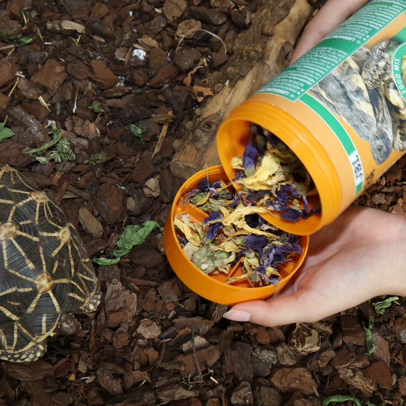 ProTerra JBL Florsil - Aliment de base aux fleurs pour une alimentation variée de toutes les tortues terrestres