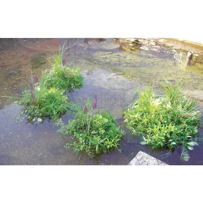 Île de plantes flottante ronde type 61