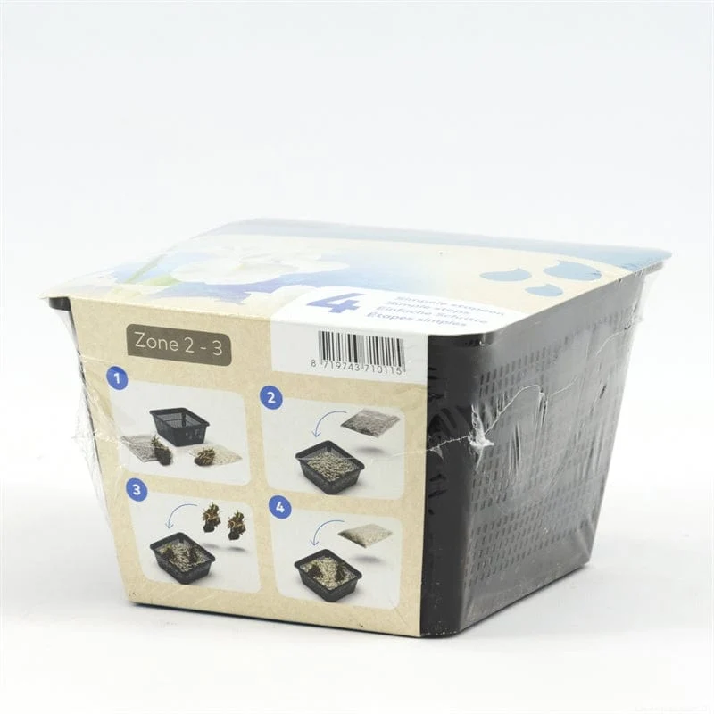 Iris jaune - En kit tout-en-un - Pot de 18CM