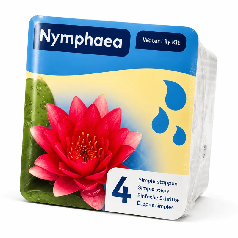 ❤️ Kit Nénuphar Rouge Prêt à Planter Aquifleur – Nymphaea avec Panier, Terreau & Gravier