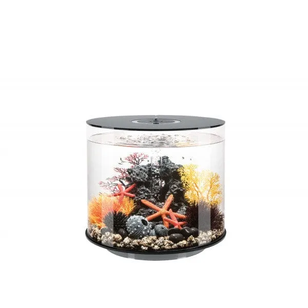 Aquarium biOrb TUBE 35 LED - 35 litres