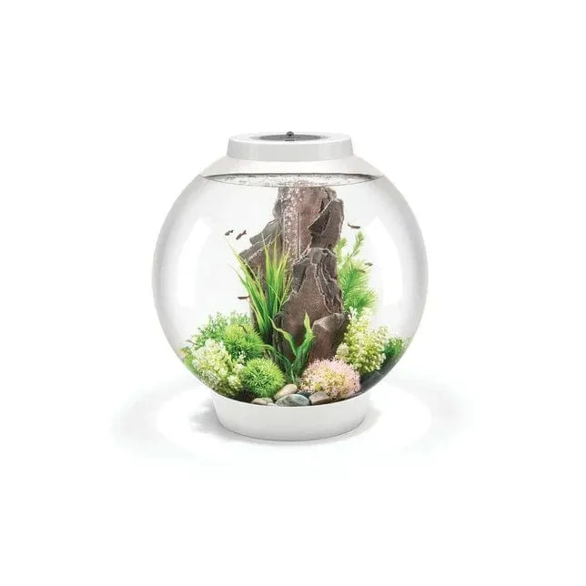 Aquarium biOrb CLASSIC 60 MCR - 60 litres