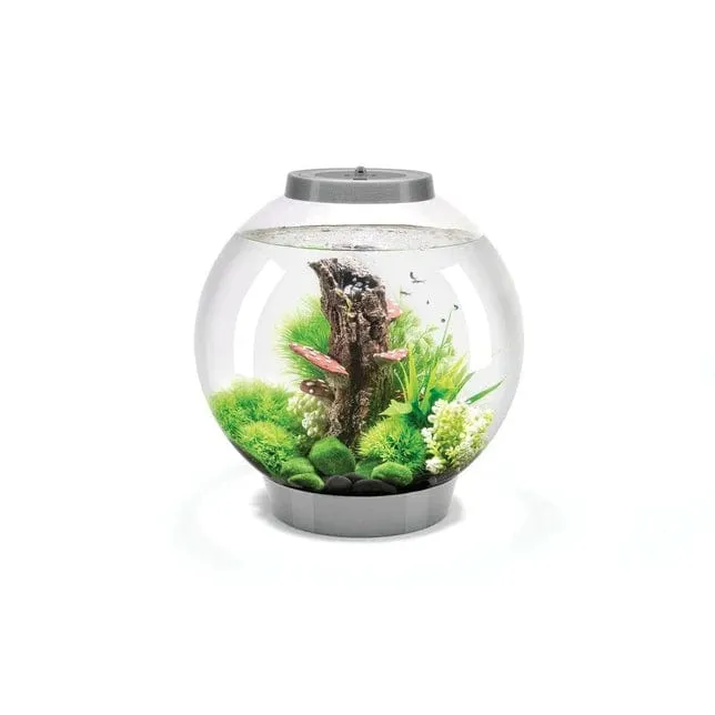 Aquarium biOrb CLASSIC 30 LED - 30 litres