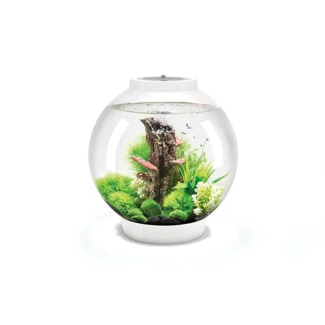 Aquarium biOrb CLASSIC 30 MCR - 30 litres
