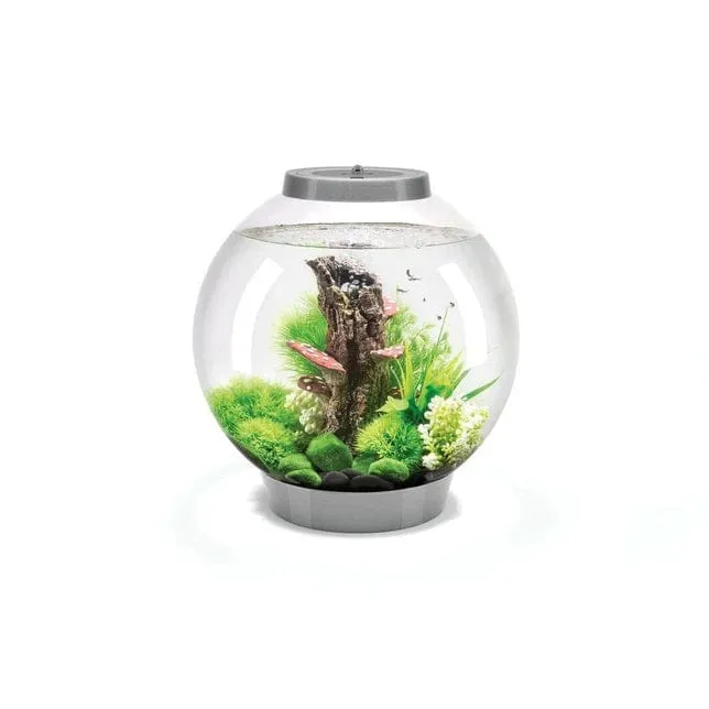 Aquarium biOrb CLASSIC 30 MCR - 30 litres