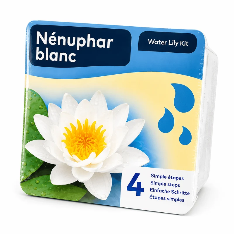 🤍 Kit Nénuphar Blanc Prêt à Planter Aquifleur – Nymphaea avec Panier, Terreau & Gravier
