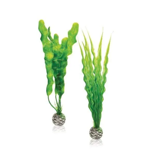 biOrb Set de plantes M vertes