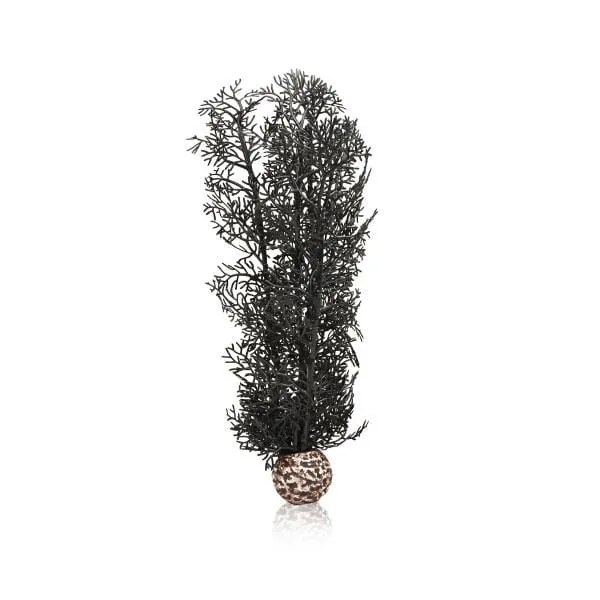 biOrb Corail M noir