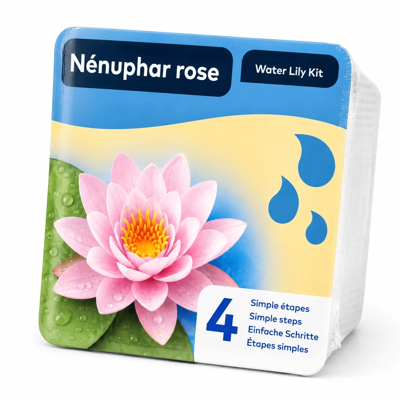 🌸 Kit Nénuphar Rose Prêt à Planter Aquifleur – Nymphaea avec Panier, Terreau & Gravier