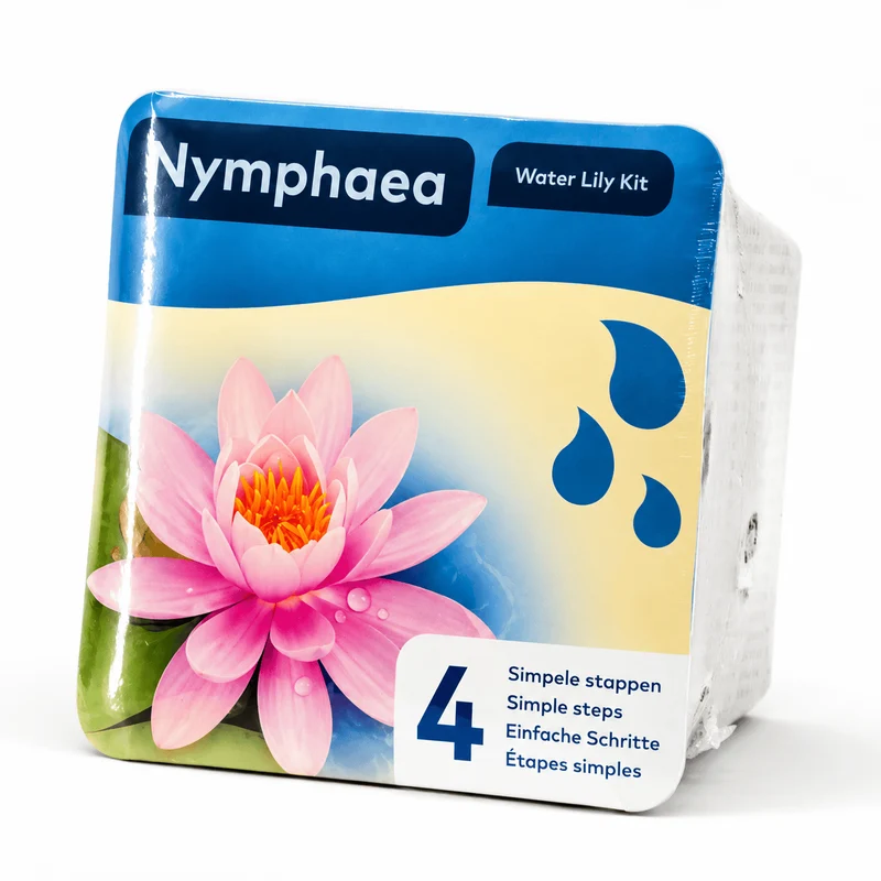 🌸 Kit Nénuphar Rose Prêt à Planter Aquifleur – Nymphaea avec Panier, Terreau & Gravier
