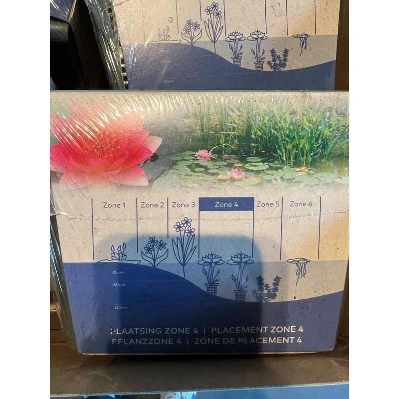 🌸 Kit Nénuphar Rose Prêt à Planter Aquifleur – Nymphaea avec Panier, Terreau & Gravier