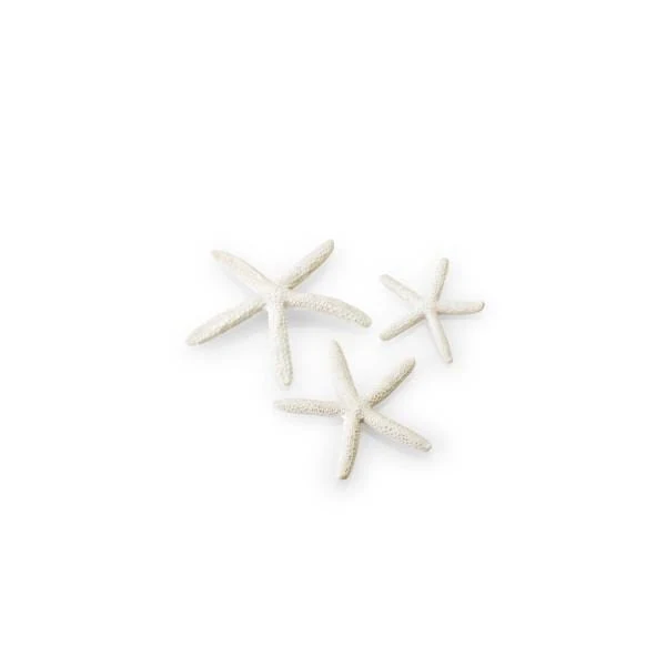 biOrb Set de 3 étoiles de mer blanches