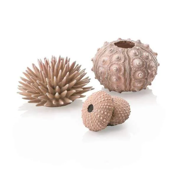 biOrb Set d'oursins naturels
