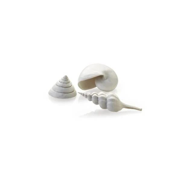 biOrb Set de 3 coquillages blancs