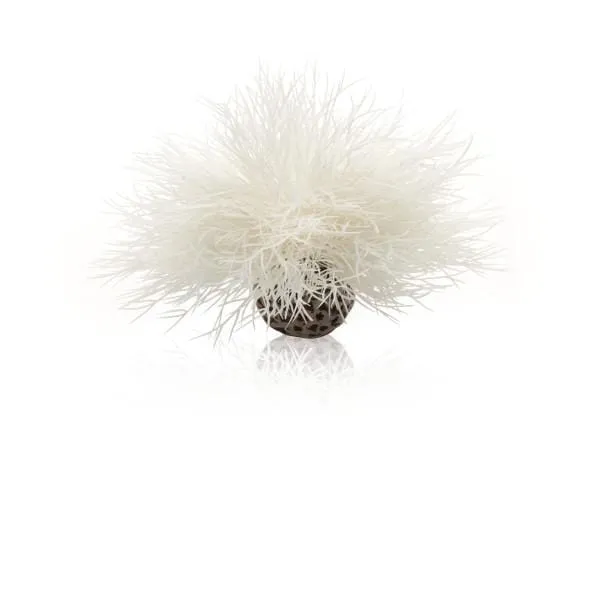 biOrb Lys de mer blanc