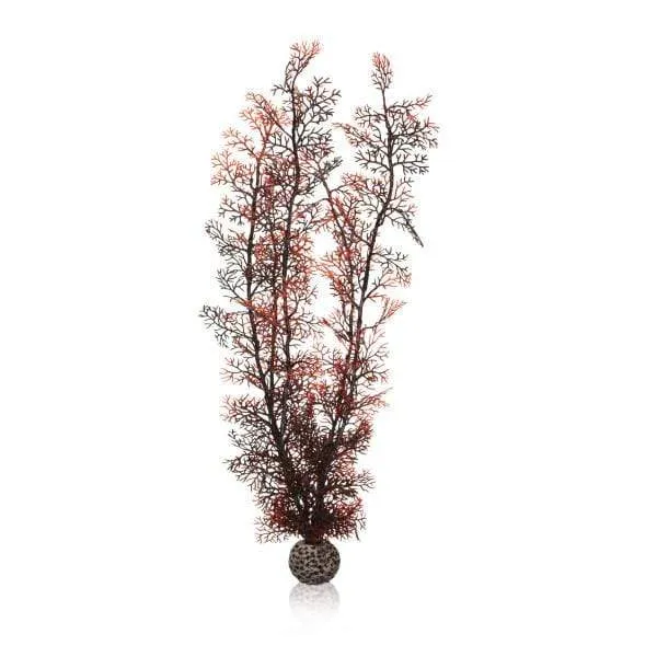 biOrb Corail XL couleurs d'automne