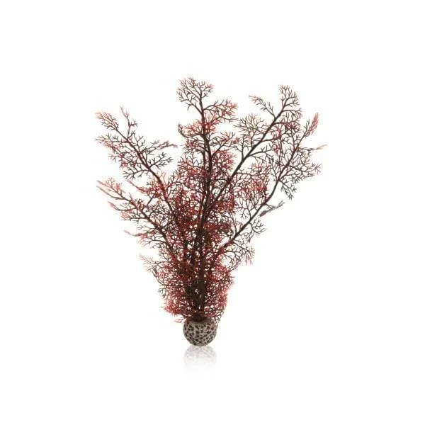 biOrb Corail L couleurs d'automne