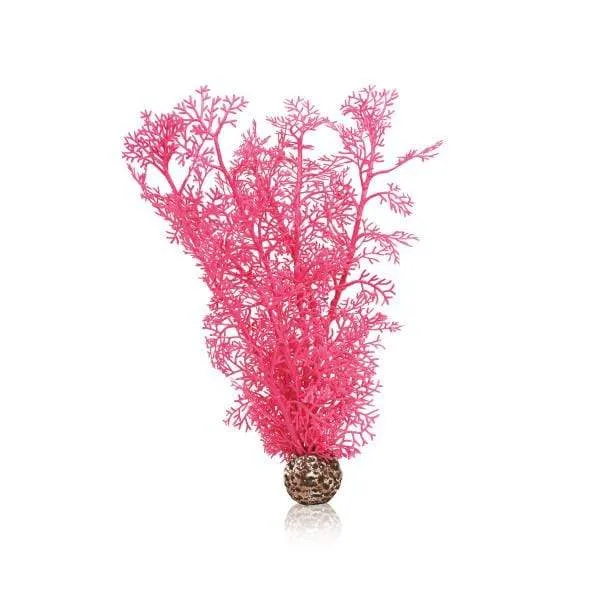 biOrb Corail M rose