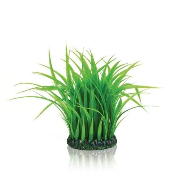 biOrb Anneau d'herbe M verte