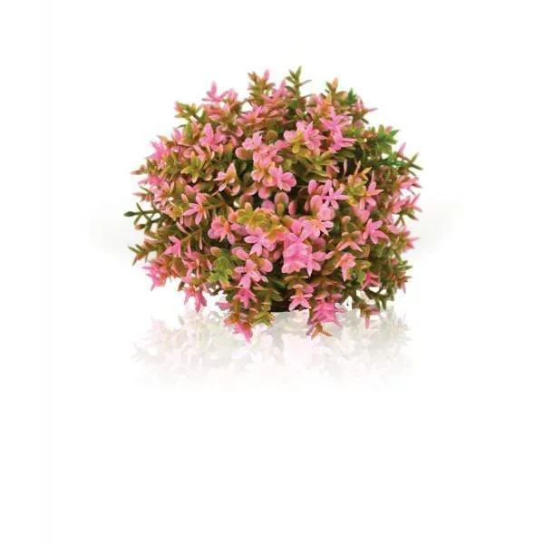 biOrb Boule topiaire rose
