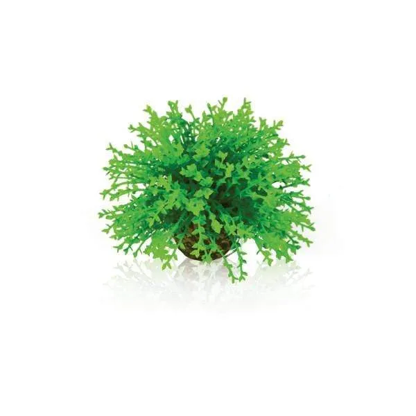 biOrb Boule topiaire verte