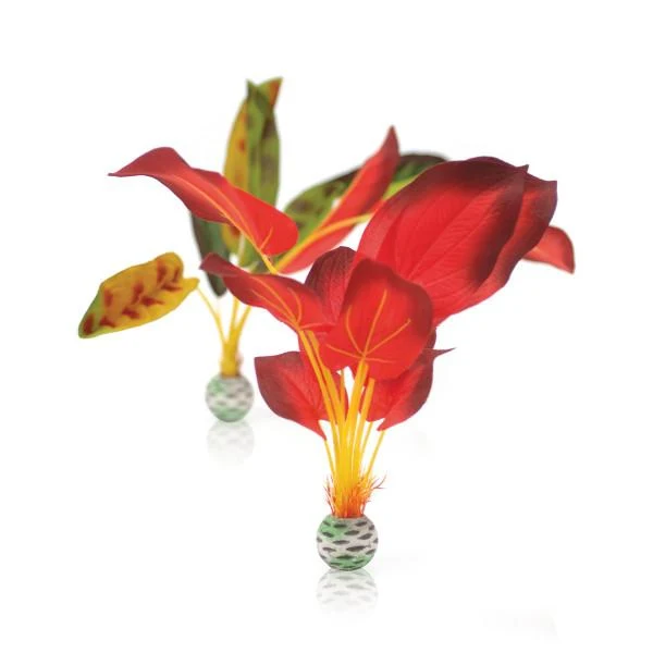 biOrb Set plantes L vertes&rouges