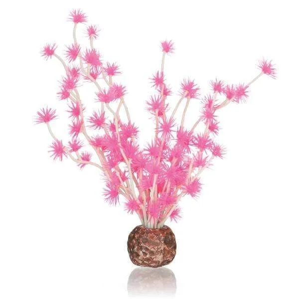 biOrb Boule Bonsai rose