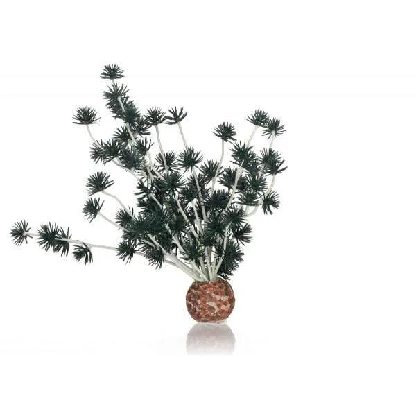 biOrb Boule Bonsai noir