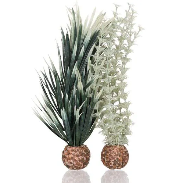 Plante biOrb Ambulia grise/verte S