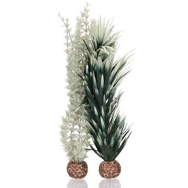 Plante biOrb Ambulia grise/verte M