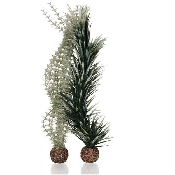 Plante biOrb Ambulia grise/verte L